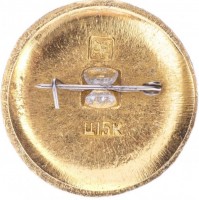 Нагрудный знак Дорогобуж 
