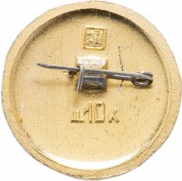 Нагрудный знак Тула 