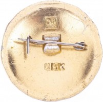 Нагрудный знак Стародуб 