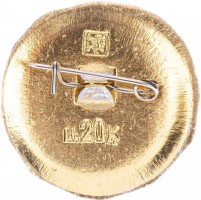 Нагрудный знак Бугуруслан 