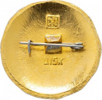 Нагрудный знак Саранск 