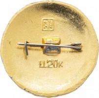 Нагрудный знак Тюмень 