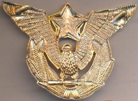 Нагрудный знак Офицер ВВС 