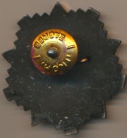 Нагрудный знак Кокарда 