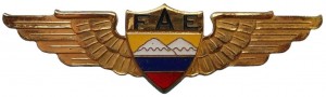 Badge Pilot 