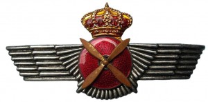 Нагрудный знак Пилот 