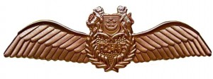 Badge Pilot 
