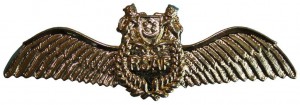 Badge Pilot 