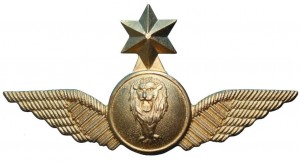 Badge Senior pilot 