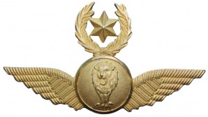 Badge Master pilot 