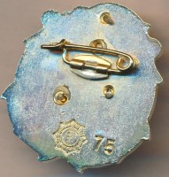 Нагрудный знак Подводный аппарат АС-40 проект 18271 Бестер-1 