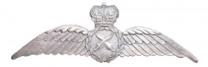 Нагрудный знак Летчик  
