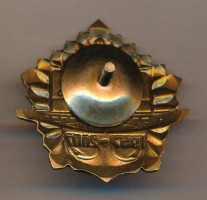 Нагрудный знак 50 лет ВВМУПП 1957-2007 
