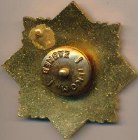 Нагрудный знак Военно-медицинская академия 
