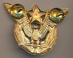 Нагрудный знак Офицер ВВС 
