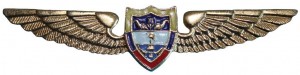 Нагрудный знак Пилот 