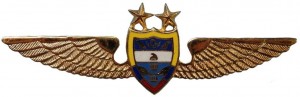 Нагрудный знак Пилот 
