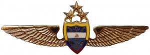 Нагрудный знак Пилот 