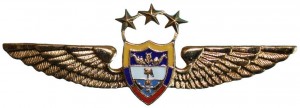 Badge Pilot 
