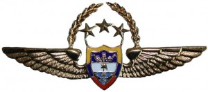 Нагрудный знак Пилот 