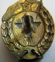 Нагрудный знак Планерное нормальное училище 