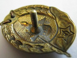 Нагрудный знак Планерное нормальное училище 