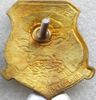 Нагрудный знак АПЛ Полярный волк 603 экипаж Подводной лодки СФ 