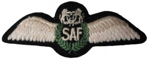 Нагрудный знак Пилот 