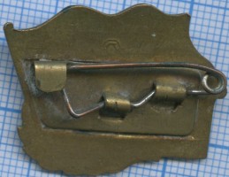 Badge  