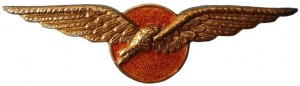 Badge Pilot 