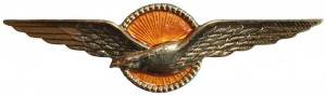Badge Pilot 