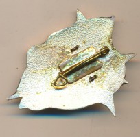 Badge  