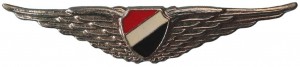 Badge Pilot 