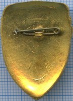 Нагрудный знак Классный специалист МВД 1 класса 