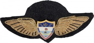 Badge Pilot 
