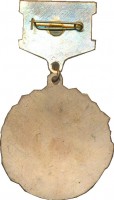 Нагрудный знак 254 ИАП 1941-1945 