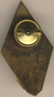 Нагрудный знак РУВТ 1976 