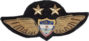 Badge Pilot 