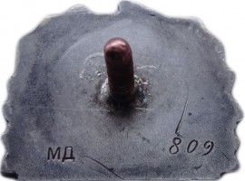 Badge  