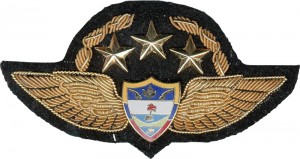 Нагрудный знак Пилот  