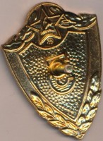 Нагрудный знак Специалист 3 класса для рядового и сержантского состава 