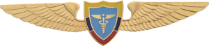 Нагрудный знак Медицинская служба  