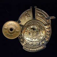 Badge  