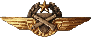 Badge Pilot observer 