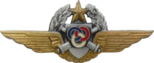 Нагрудный знак Пилот-наблюдатель инструктор 