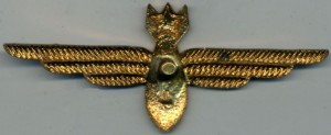 Badge Navigator 1st class 