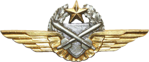 Нагрудный знак Пилот наблюдатель  