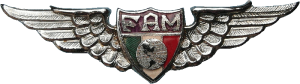 Нагрудный знак Штурман  
