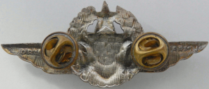 Badge Pilot observer (instructor) 