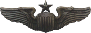Нагрудный знак Старший пилот Нагрудный знак Старший пилот